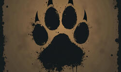 Wildlife Bestiary